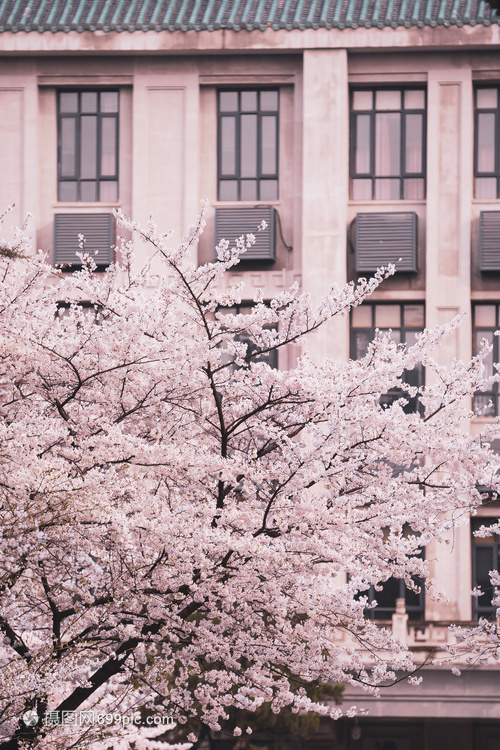 武汉大学樱花教学楼