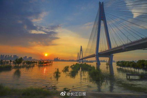 城市摄影队 送你一个彩虹色的武汉,一起来拍 仲夏夜之梦